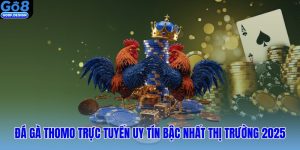 Đá gà Thomo trực tuyến uy tín bậc nhất thị trường 2025