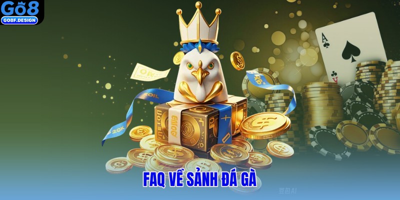 Câu hỏi thường gặp về đá gà 